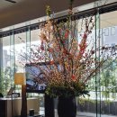 마루야 맞은편 버스정류장 쪽 | 후쿠오카 하카타 호텔 고민 끝 더 블라썸 하카타 프리미에 디럭스룸 솔직후기