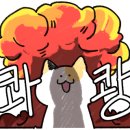 보드게임카페레드버튼광주 이미지