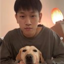 크러쉬 카카오 검색결과