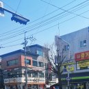 (맛집후기) 주안정육점 주안소고기 찾는다면 신기시장 &#39;시골목장 정육점&#39;(feat.꽃등심, 채끝등심)