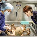 시그널호텔 이미지