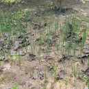 이쁜농장 이미지