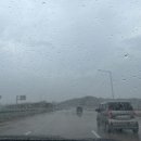 레오아빠동물약국 이미지