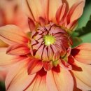 청운태권도장 이미지