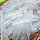 먹통횟집