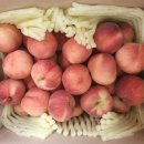 신대농장 이미지