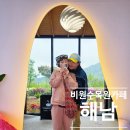 해남 가볼만한곳, 비밀스러운 민간 정원 비원 수목원 카페 후기