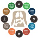 왕십리옥토한의원 | 옥토한의원 8체질 검사 1회차 후기 (내 체질은..? 두구두구...)