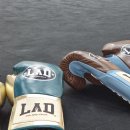 자연체육관 이미지