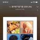 스프링데이 이미지