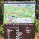 제1286회 2025년07월01일(화요일)광명동굴 이미지