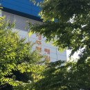 배드민턴, 태권도체육관 이미지