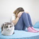 고양이집사 이미지