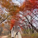 경스 비즈니스 호스텔 | [시립서울유스호스텔] 서울 가족여행 숙소 추천ㅣ중구 가성비 숙소ㅣ조식ㅣ명동 남산 근처 숙소 추천 👦🏻