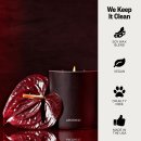 Apotheke 아포테케 센티드 소이 왁스 캔들 핸드메이드 리뷰