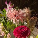 신점선생묘 | [김해점집연화신당] 옷불림굿ㆍ신사맞이굿ㆍ진적굿ㆍ작두굿