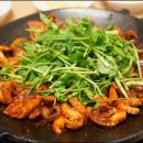 일산쭈꾸미 이미지