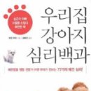 예쁜강아지 이미지