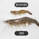 대하 이미지