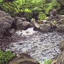 색연필일러스트 이미지