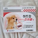 우리대치약국 | 강아지 심장사상충 약 추천 약국에서 구매 가능한 하트캅 츄어블 정 가격 및 후기
