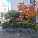 우리조경 | 파주 조경,예초,전지 벌목 작업후기