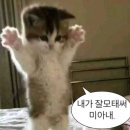 톤스 | 산척동 브런치 에그베네딕트 롤라자냐 맛집 톤톤스 내돈내산 후기