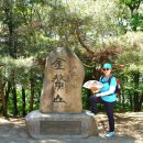 #경북 경주 남산 삼릉길 이미지
