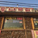 물왕통나무집