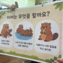 💦비가 오는 날도 좋아요/ 영어/ 오감숲 이미지