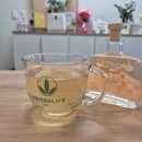 조이점핑 이미지