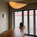 스테이그라피 이미지