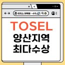새실1길 | 양산 이지스어학원 토셀 시험 성적 발표 | 100점 만점자·양산 최다 수상 실적 쾌거