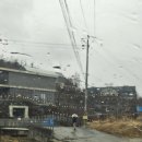 삼백로 | 용인곤충테마파크곤충박물관 6세남아 대만족 후기