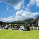 강아지숲 박물관 이미지