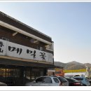 춘산메밀꽃
