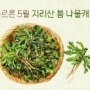 마음챙김여행백락투어 이미지