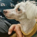 광교산동물병원 이미지