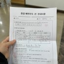 해동물병원 | 순천 미즈 시험관 1차 성공 후기 : 동결 배아 이식 당일부터 피검사 결과까지