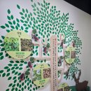 제주국가생약자원관리센터 | 서귀포 ‘생약누리’ 방문기 : 한라산과 바다 사이, 생약의 지혜를 만나다