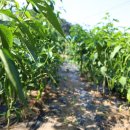 갯벌부흥펜션 이미지