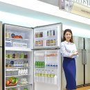 강남냉동전자 이미지