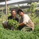 박미향 농장 이미지