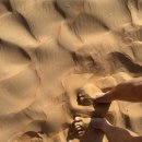 신 트레이드(SHIN TRADE) | 몰디브 &amp; 두바이 신혼여행 총 경비 공유 (9박11일)