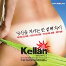 다사로 Daum카페