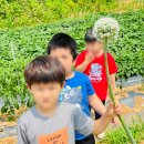 은송어린이집 이미지