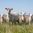 고잠2길 1 이미지