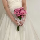 이불 왕 도매 | 2025/05 일기