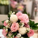 영플레르