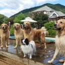 그랑샤리오 이미지